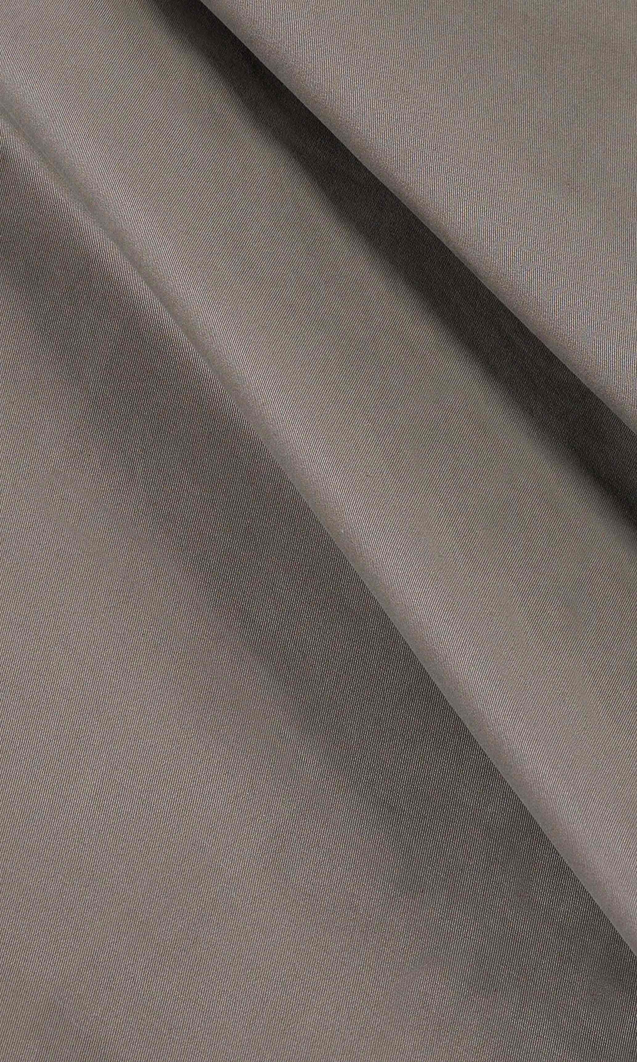 EVERYDAY TAUPE PLEATED PANTS